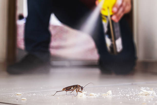 Best Mosquito Control Services  in Long Hill, CT